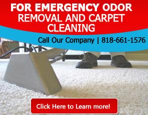 About Us | 818-661-1576 | Carpet Cleaning Porter Ranch, CA